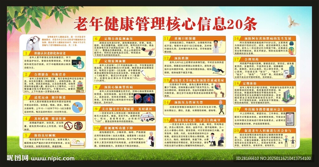 老年健康教育核心信息宣传栏