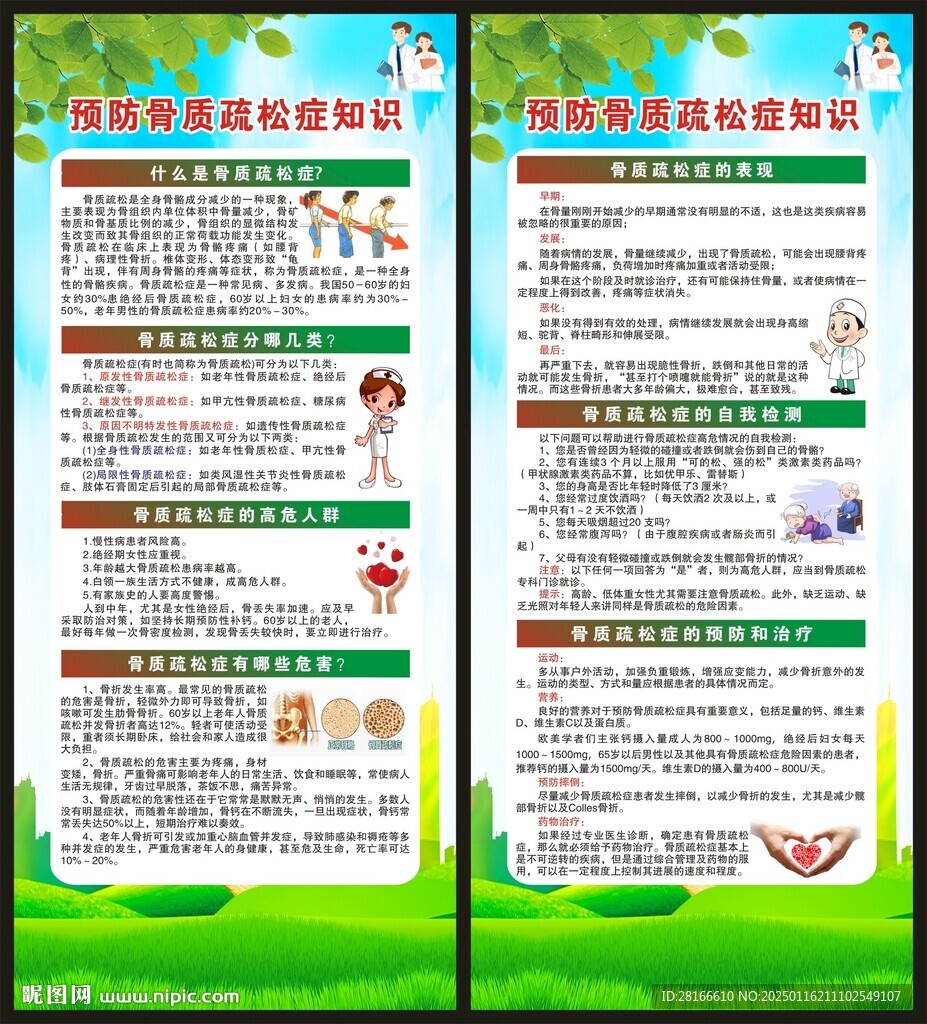 预防骨质疏松知识展架