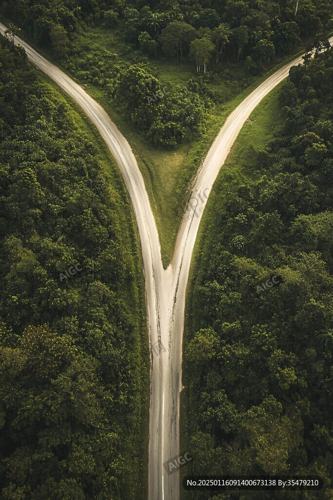 草坪道路鸟瞰
