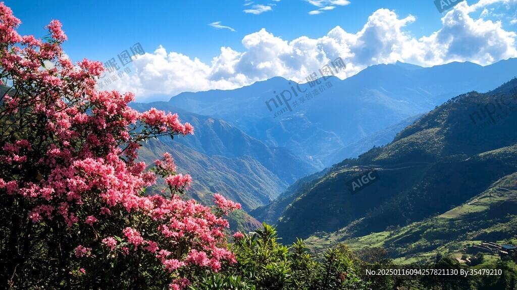高黎贡山垭口风光