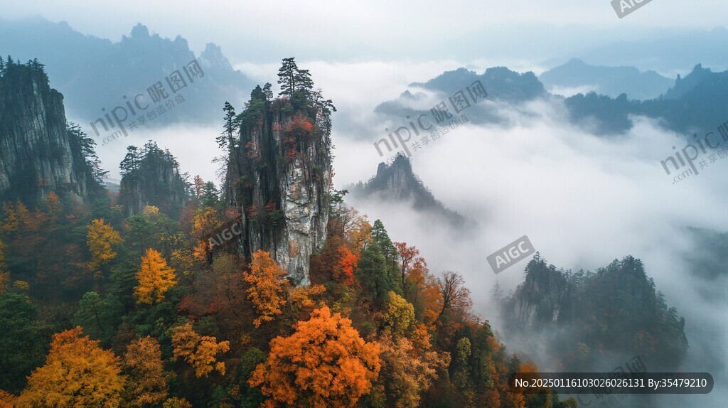 光雾山晨雾