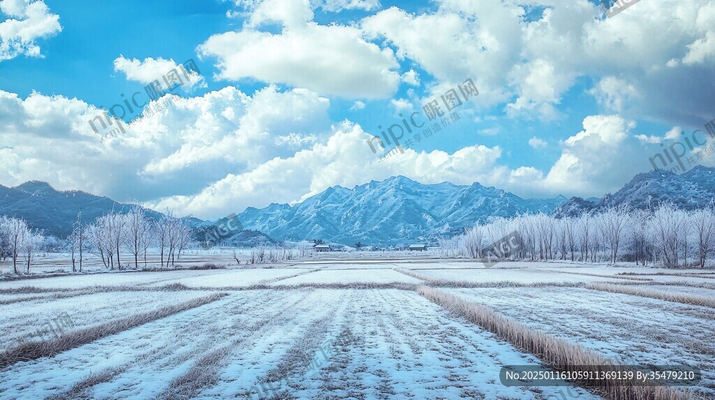 雪野远山