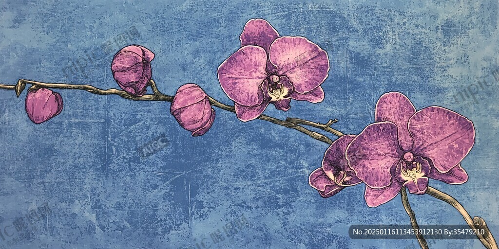 兰花油画