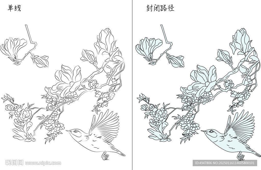 白玉兰与鸟 矢量图