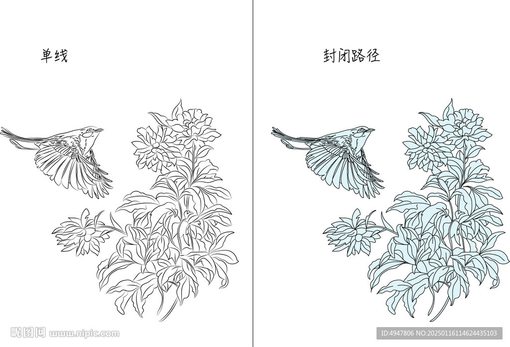 花与鸟 矢量图