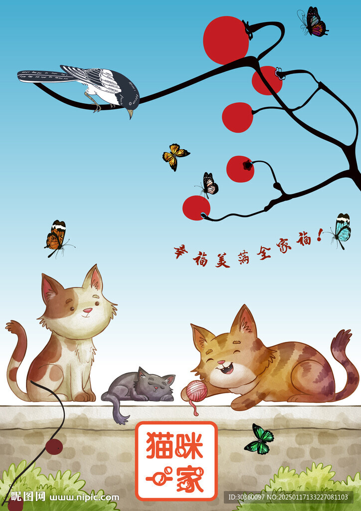 宠物猫咪一家