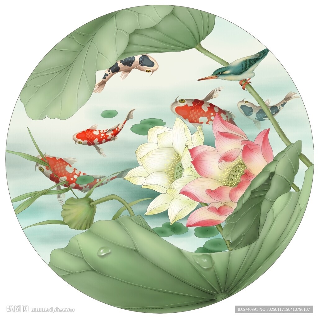 荷花锦鲤图