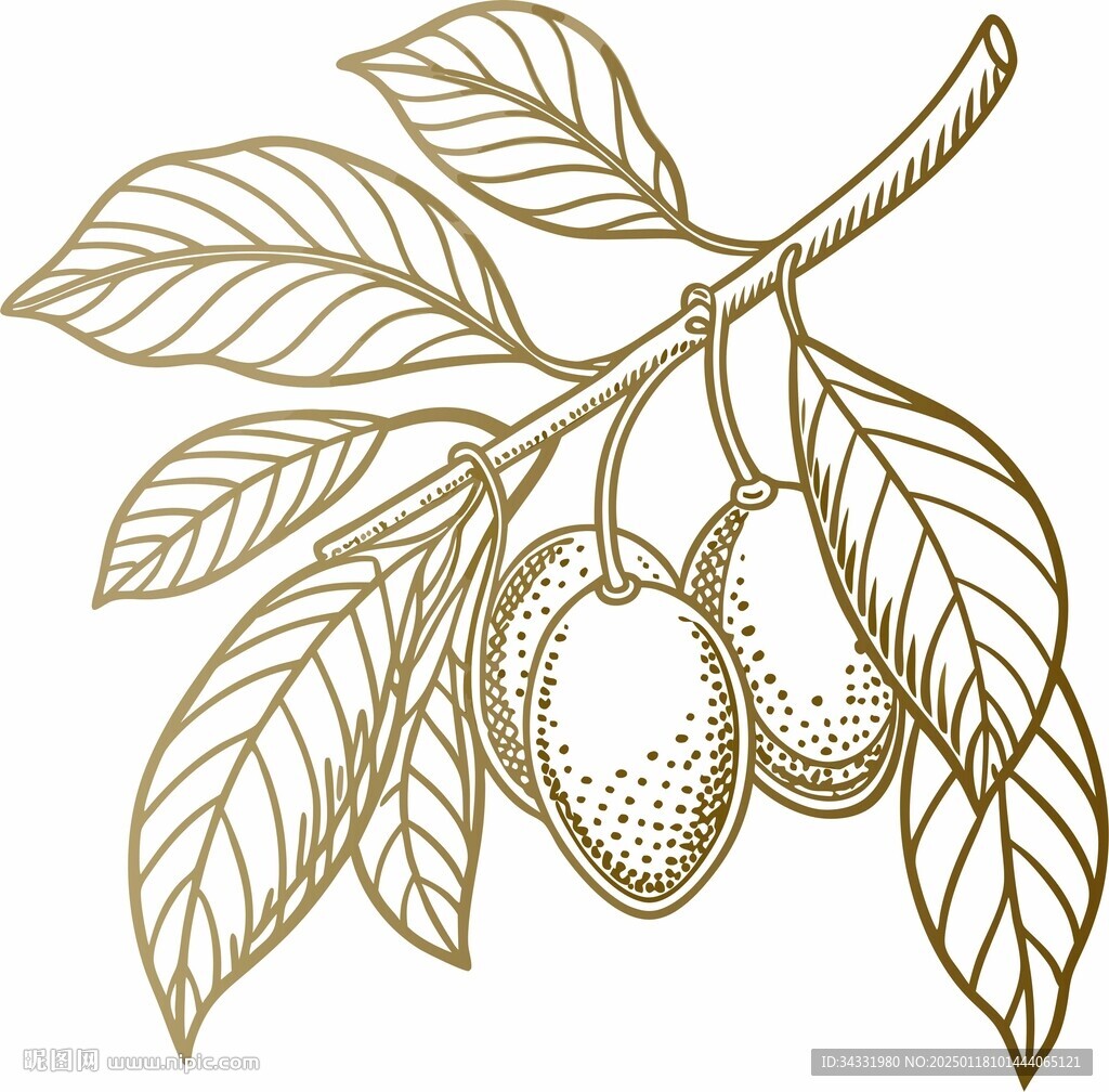 手绘芒果