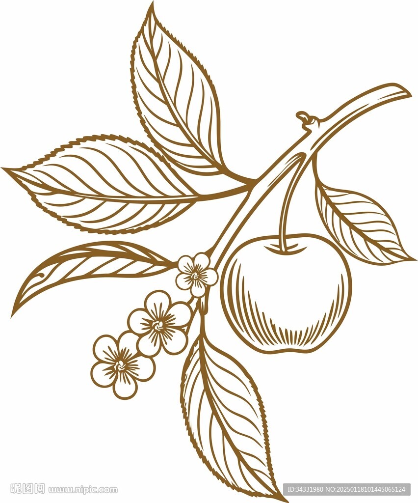 苹果插画