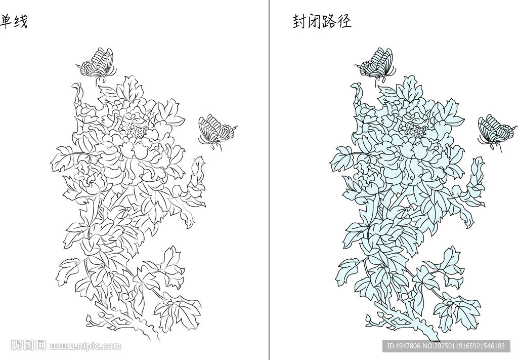 花开富贵 矢量图