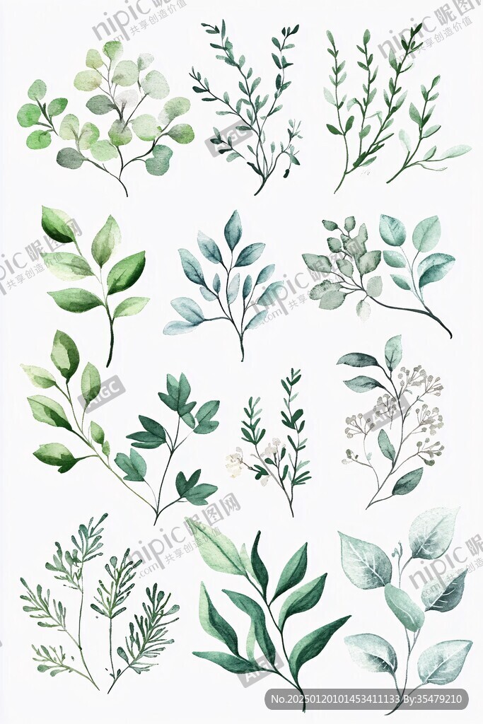 高清手绘草本植物