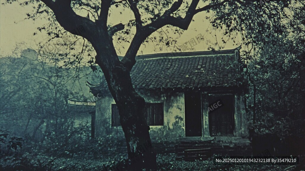 树与古宅