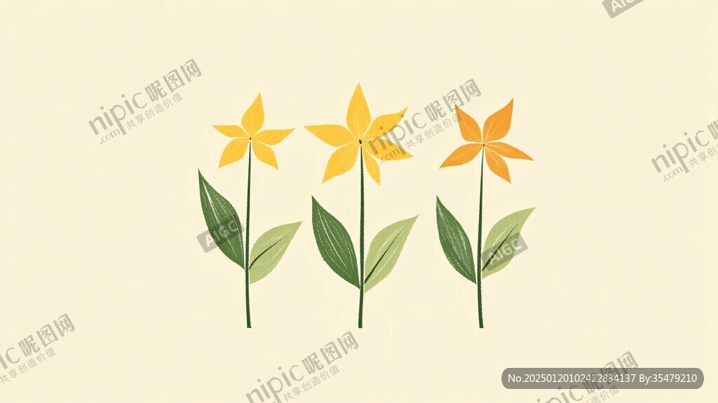 黄花菜插画