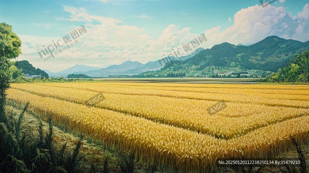 稻田大场景