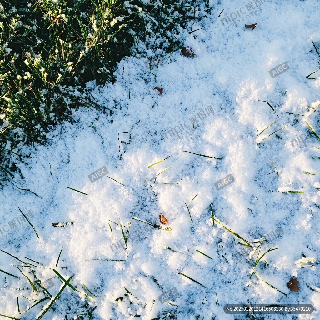 落雪的草皮