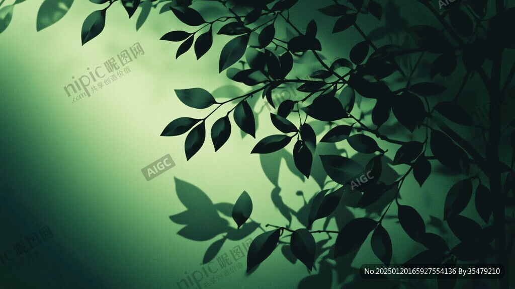 光影枝叶背景