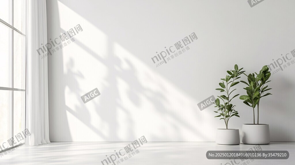植物与窗影
