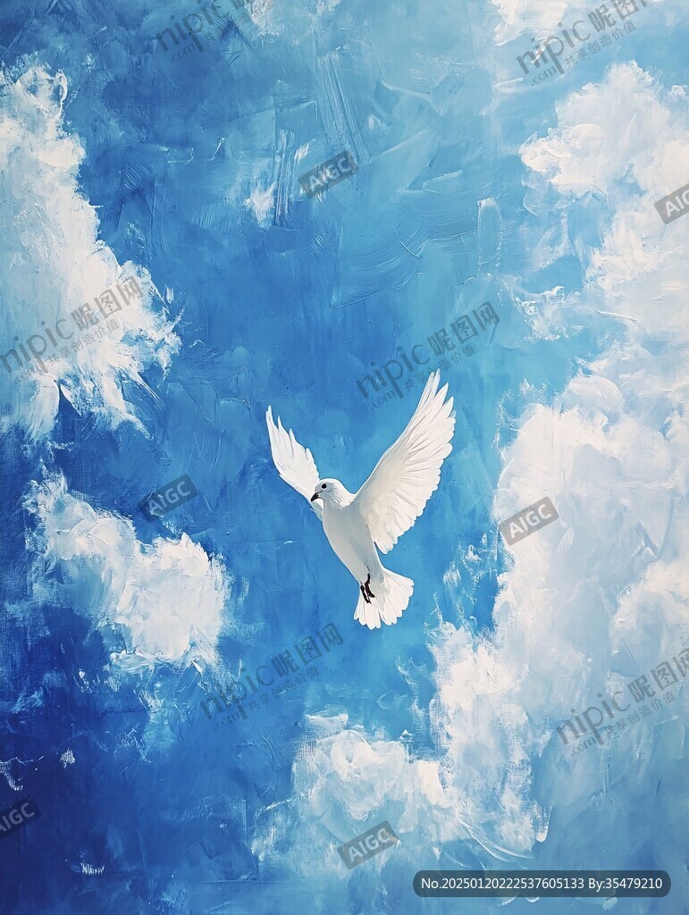 白云飞鸽吊顶