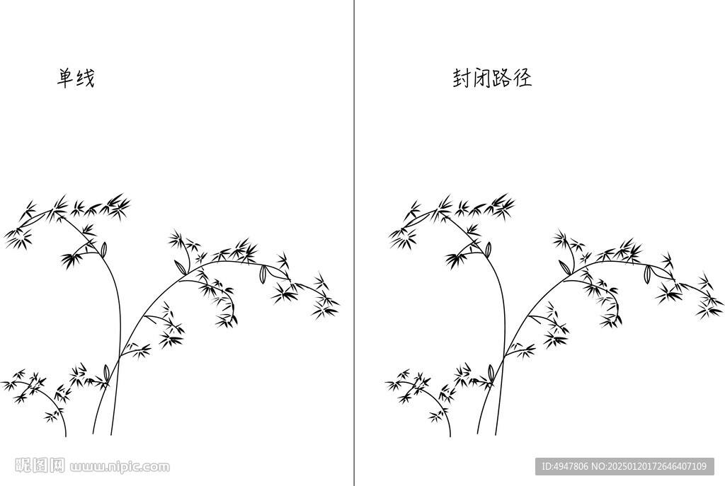 竹子 矢量图