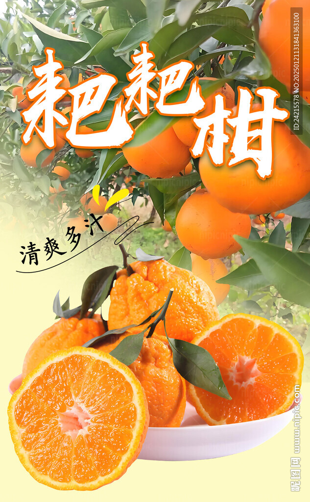 耙耙柑 不知火 橘子
