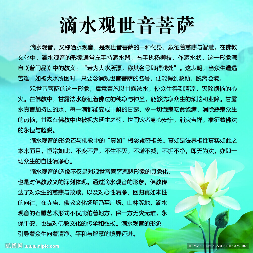 滴水观音
