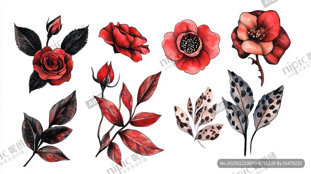 手绘红色花卉