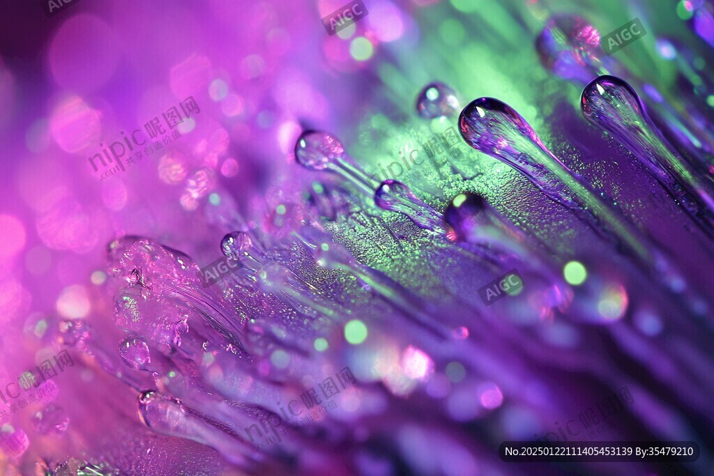 菊花瓣上的雨珠特写