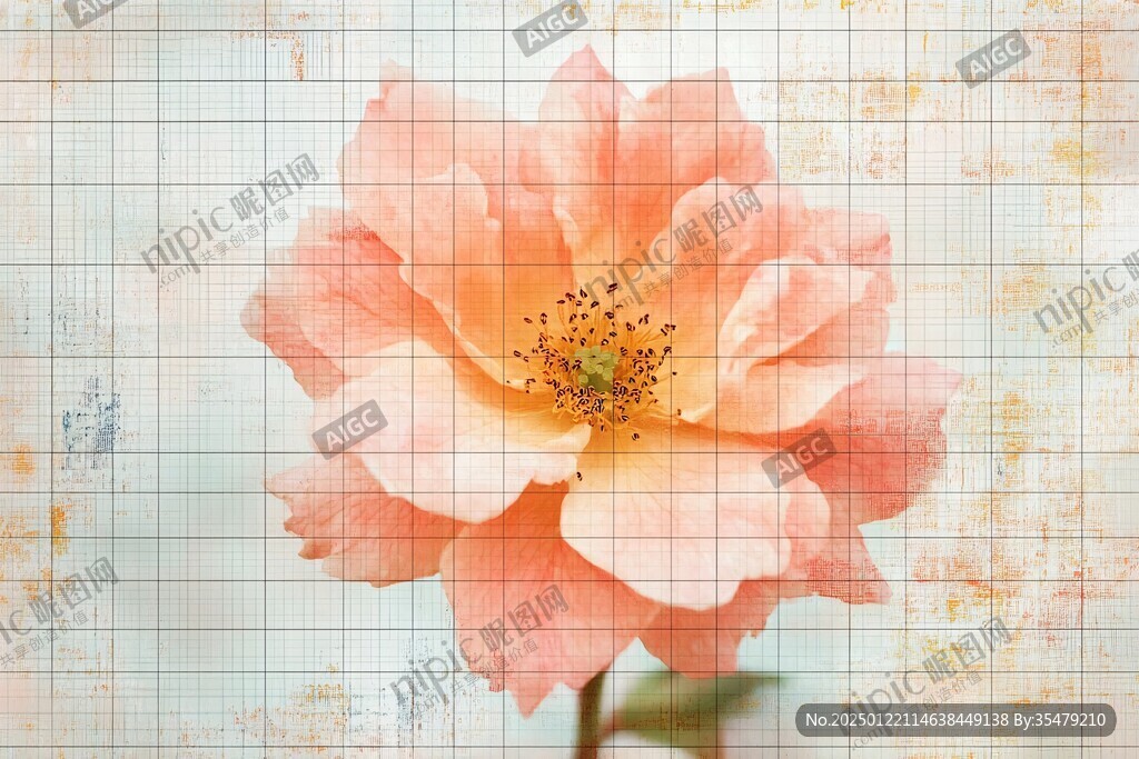 玫瑰花磨砂玻璃图案