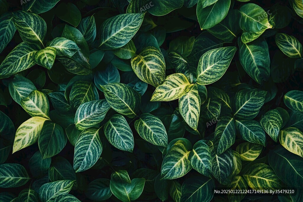 高清植物喷绘背景