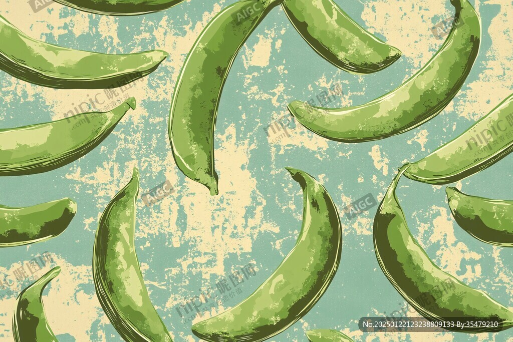 豆荚插画
