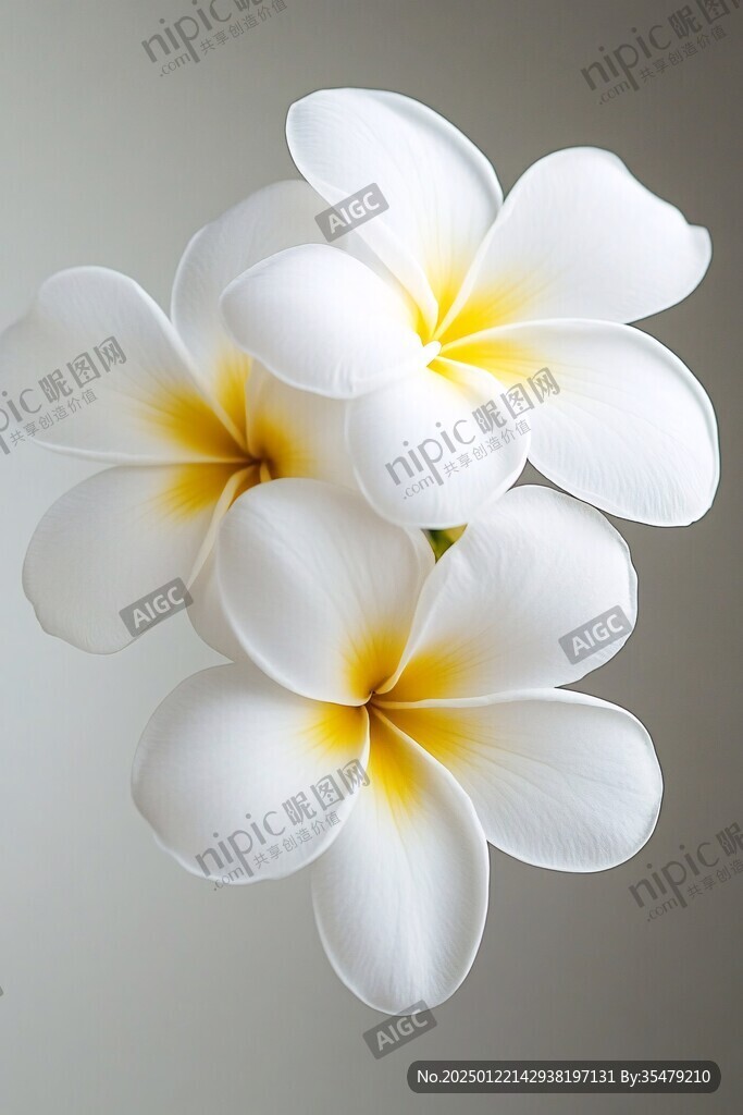 3d立体简约花
