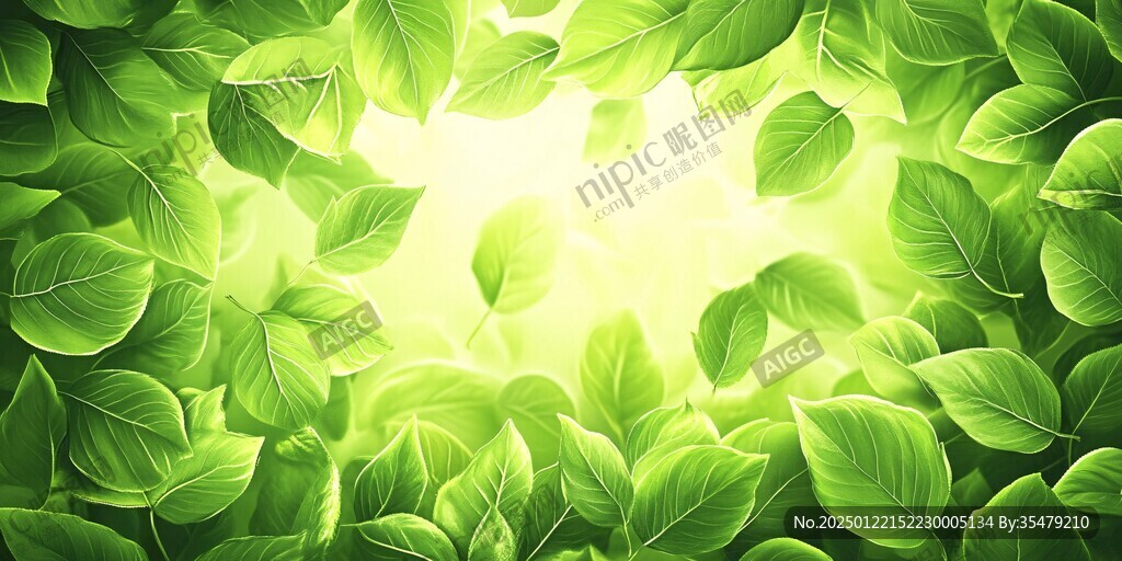 绿叶阳光背景墙