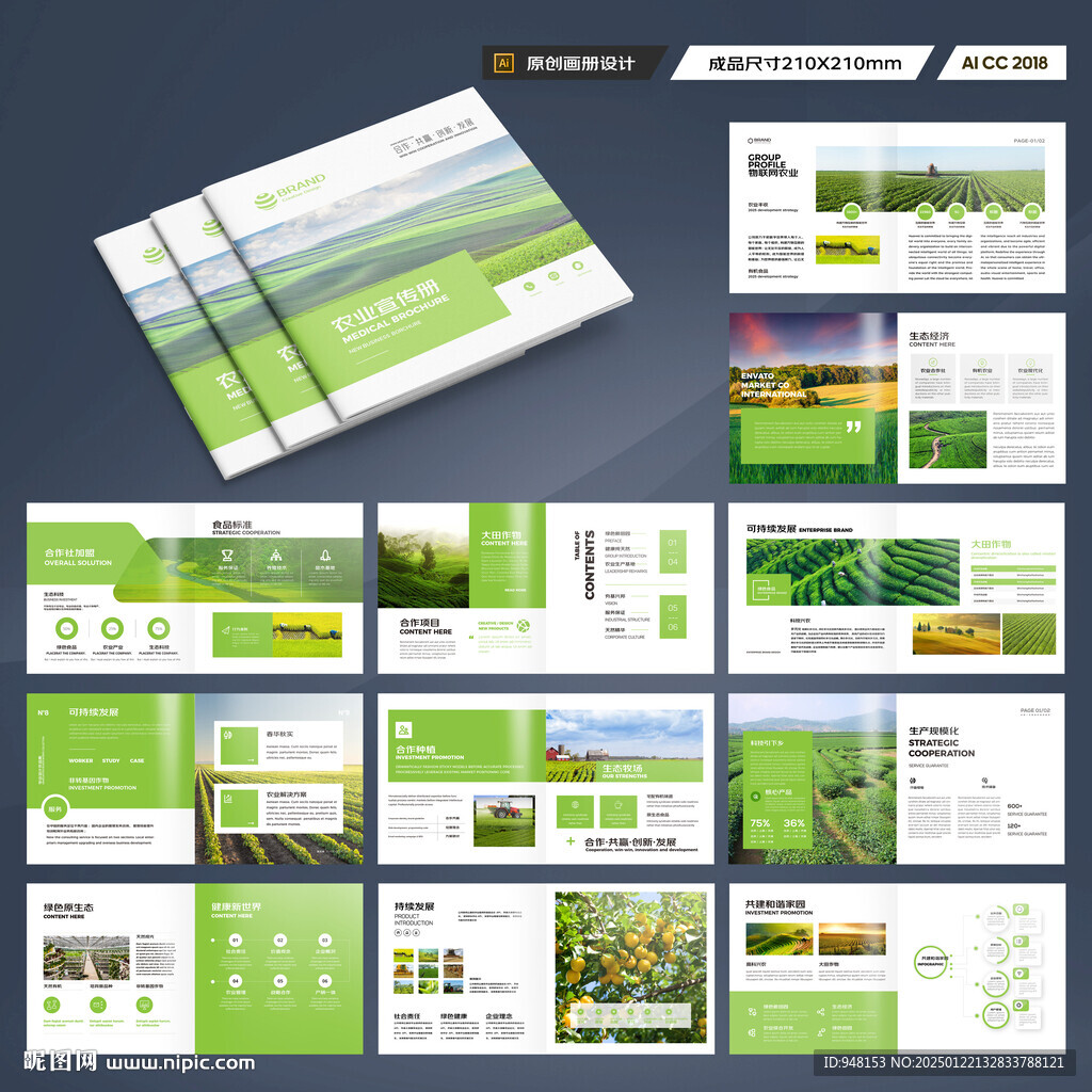 方形农产品画册