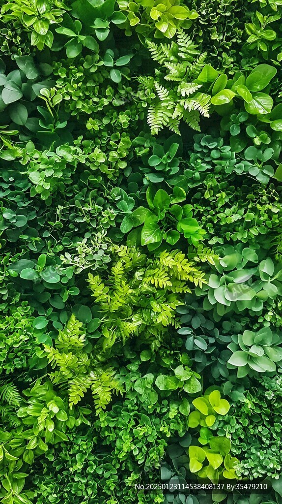 绿色植物植物背景墙