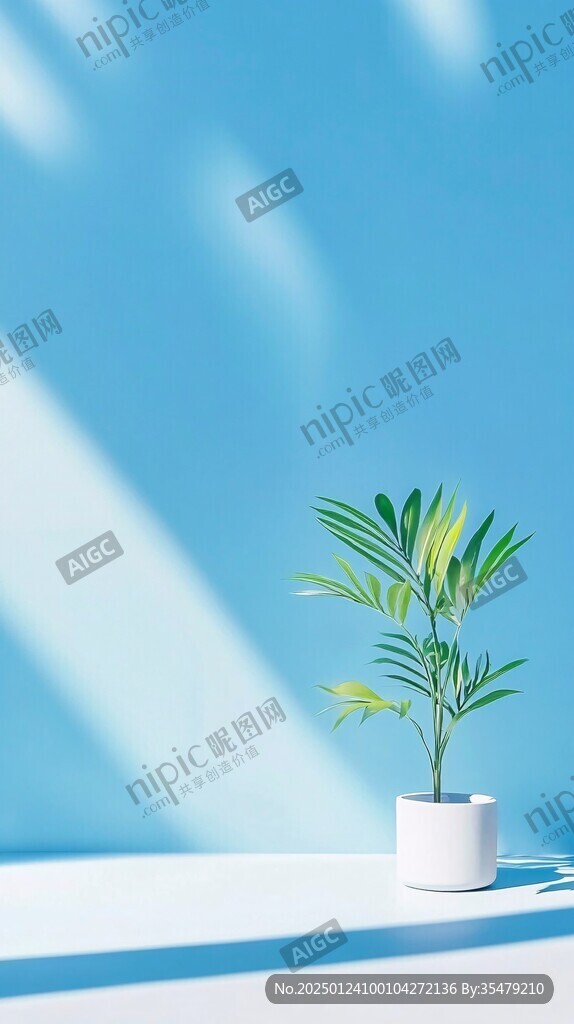 蓝色的房间里的植物