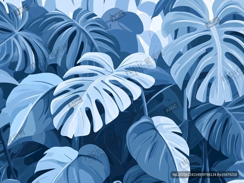 龟背竹插画