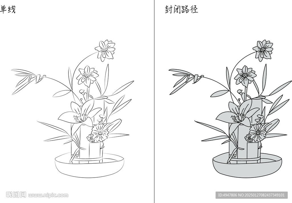 兰花 矢量图