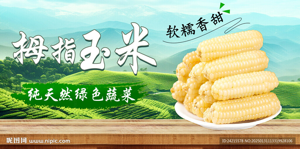 拇指玉米 蔬菜展板