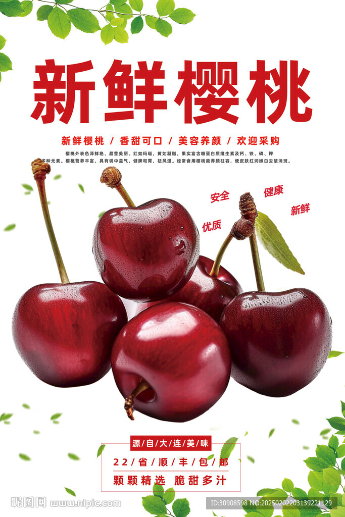 樱桃