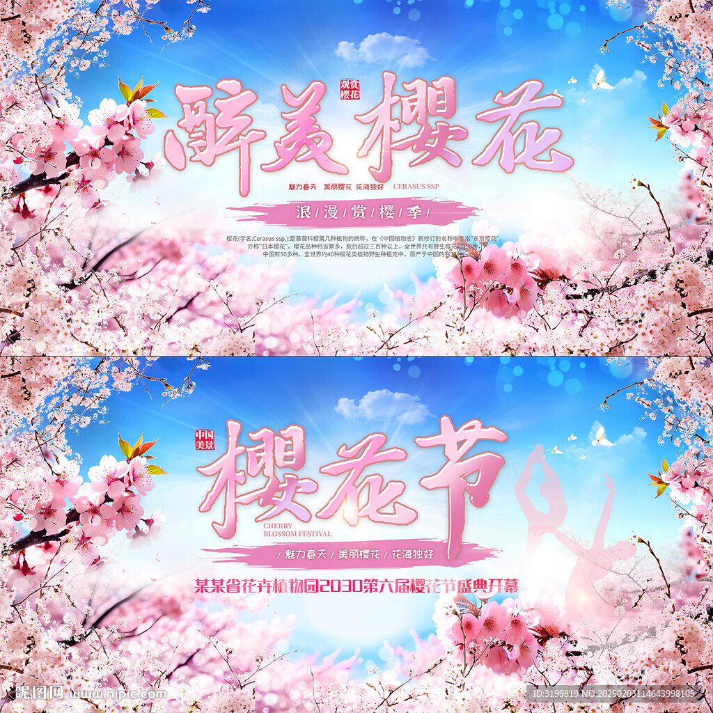 樱花节