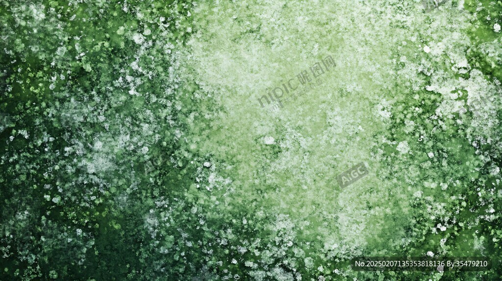 绿色苔藓壁纸