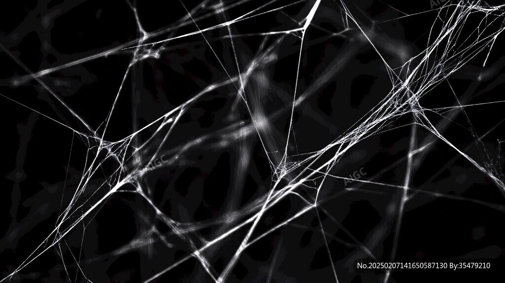 抽象唯美黑白线条丝线