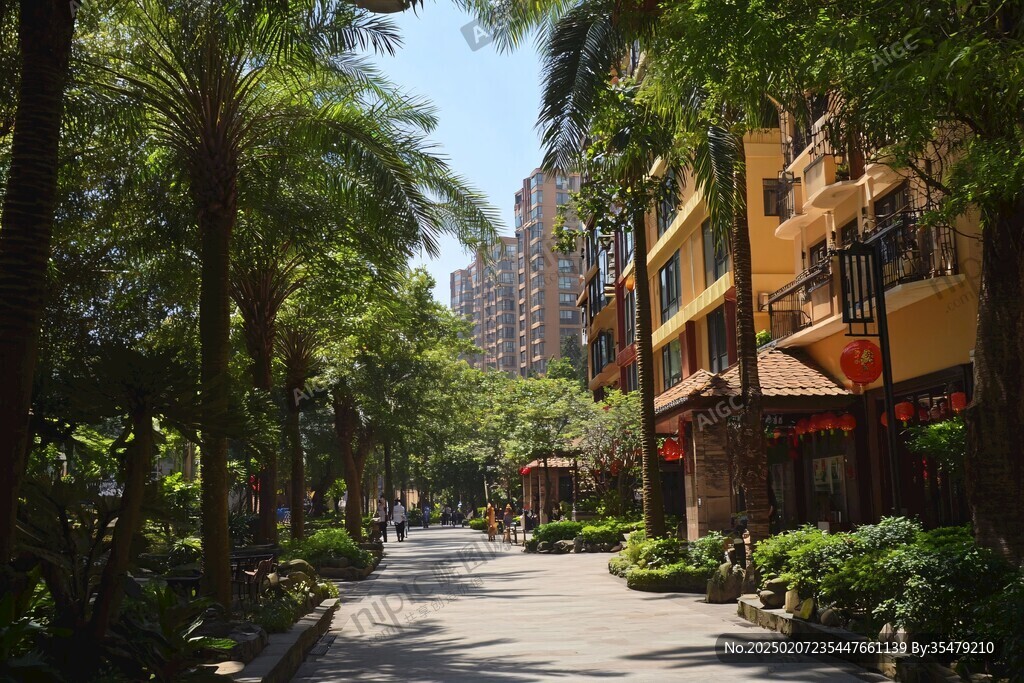小区街景风光