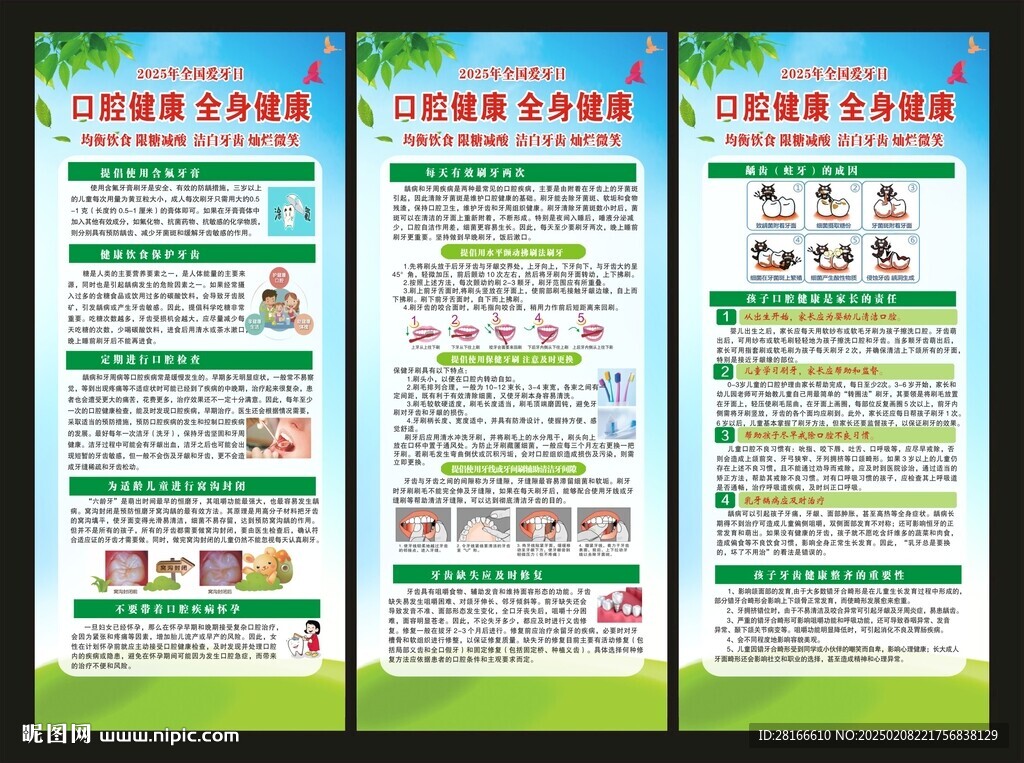 全国爱牙日展架