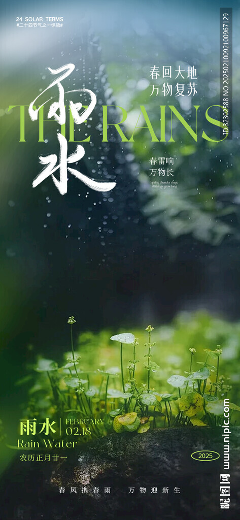 雨水