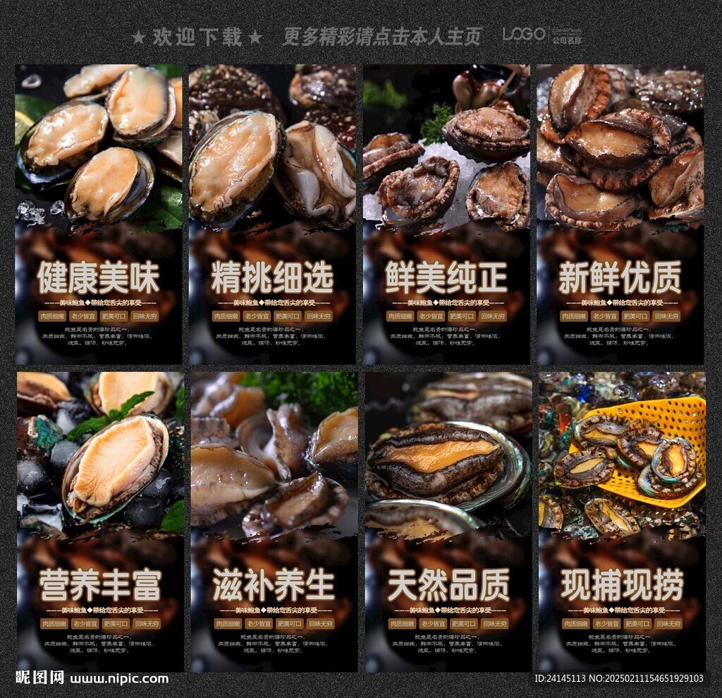 鲍鱼