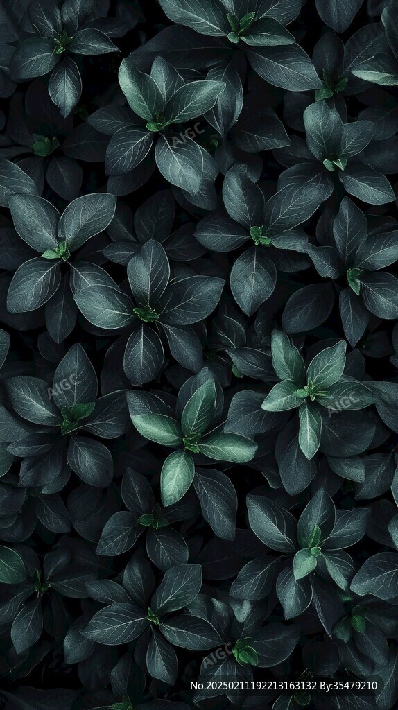 3d立体植物壁纸