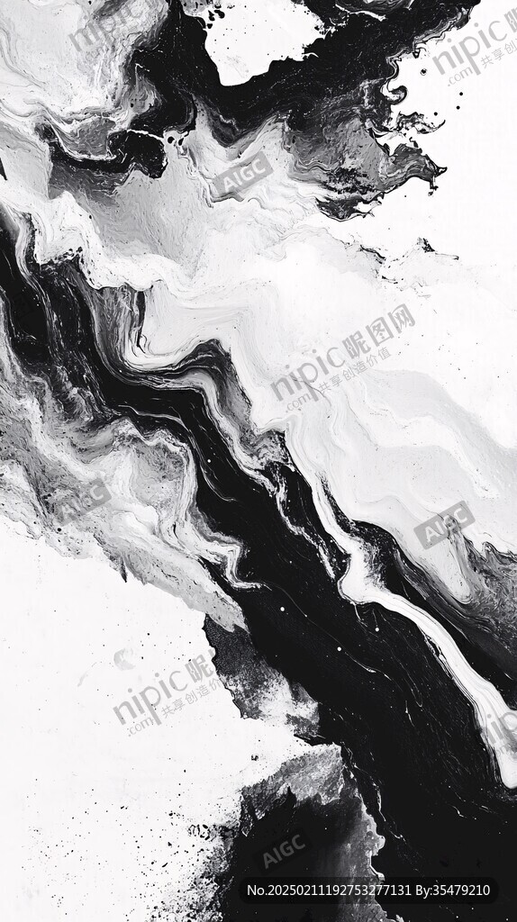 黑白流体创意抽象画