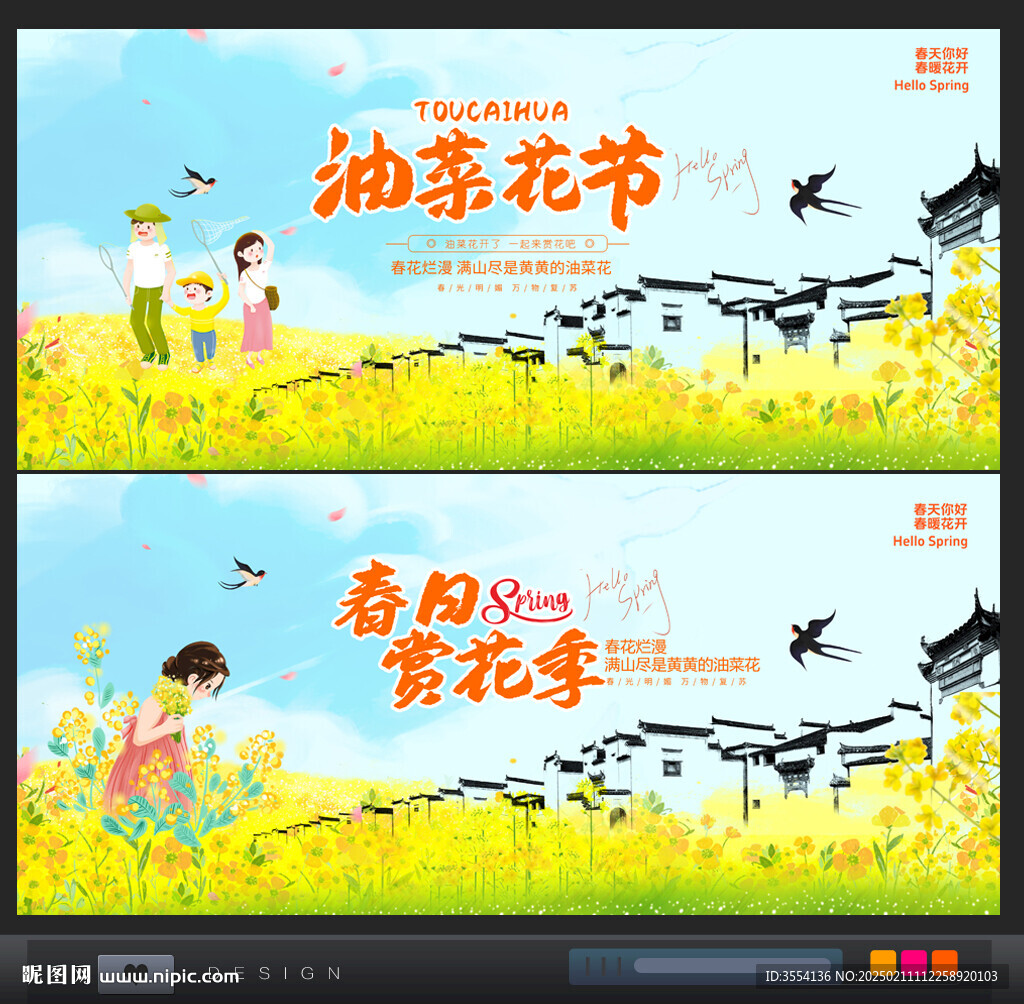 油菜花节