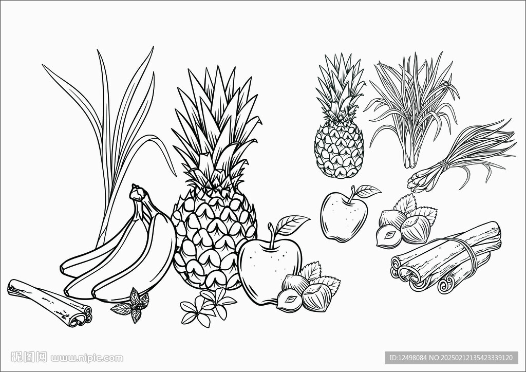 线描薄荷